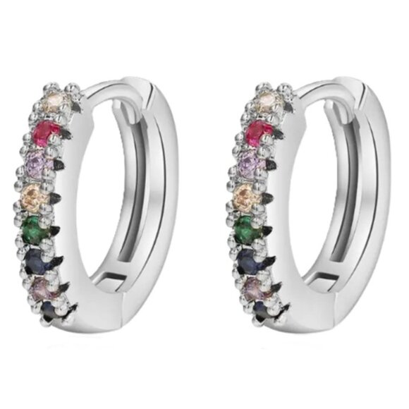 Lymphatic Germanium Magnetology Drainage Silver Electro-Plated Hoop Earrings - Picture 1 of 2